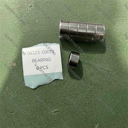 06123-03018 BEARING