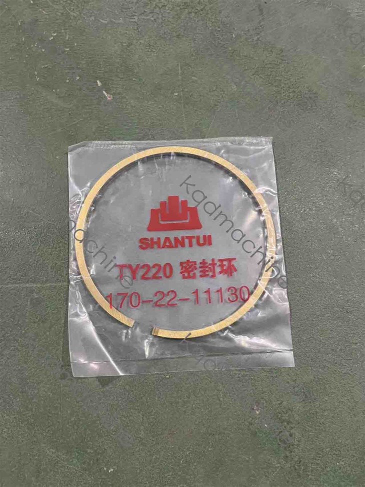 170-22-11130 SEAL RING