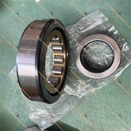 170-09-13210 ROLLER BEARING