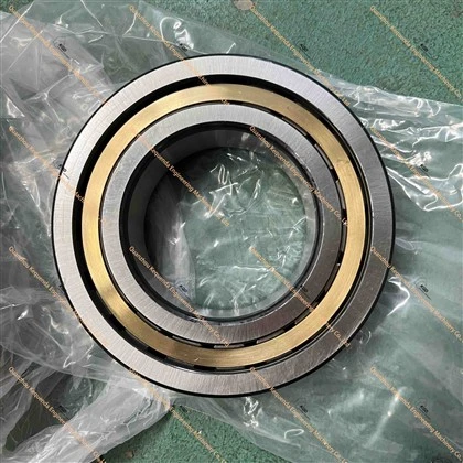 170-09-13230 ROLLER BEARING