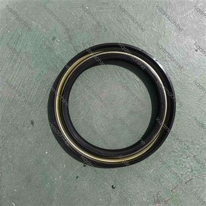 17M-09-41120 D155 SEAL