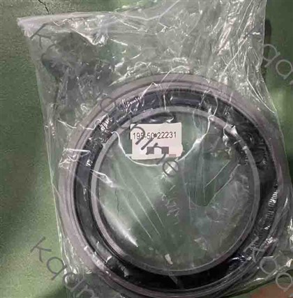 195-50-22231 SEAL