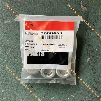 3008469 PIPE PLUG
