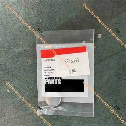 3945093 EXPANSION PLUG