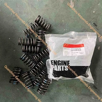 4936076 VALVE SPRING
