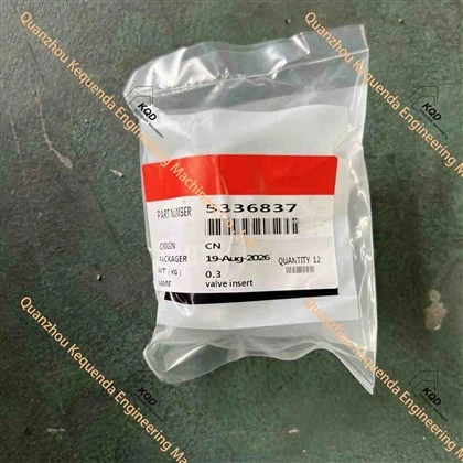 5336837 VALVE INSERT EXHAUST