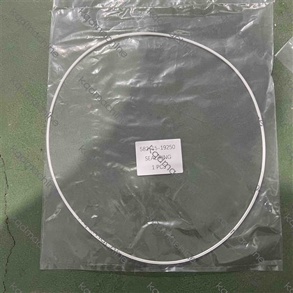 582-15-19250 SEAL RING