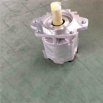 705-11-40010 PUMP ASS'Y D65