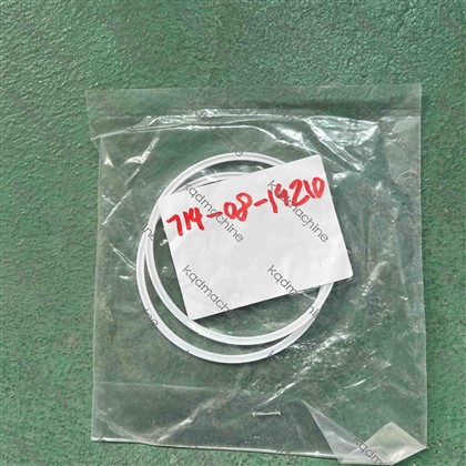 714-08-19210 SEAL RING